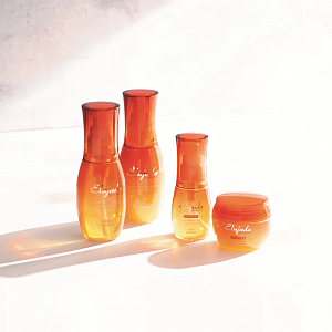 新商品のご紹介